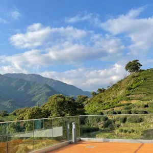 숲속 리뷰 사진