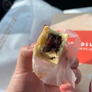 파이나무 사진 1