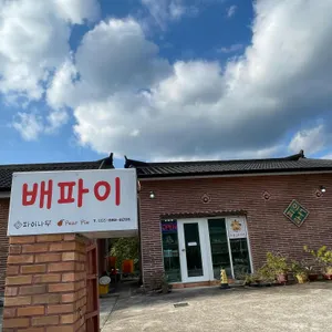 파이나무 대표 사진