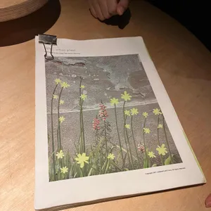 어반플랜트 한남 리뷰 사진