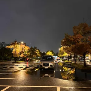 어반플랜트 한남 리뷰 사진