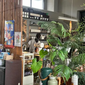 셔터 리뷰 사진