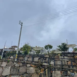 카페그로브 리뷰 사진