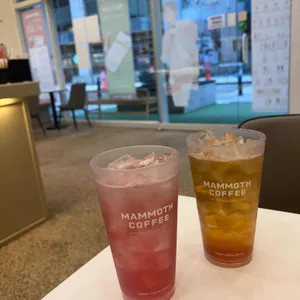 매머드익스프레스 사진 1