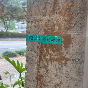 평화와평화, 좋은주방 리뷰 사진