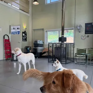 훈트 리뷰 사진