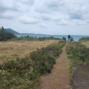 성산봄죽칼국수 리뷰 사진