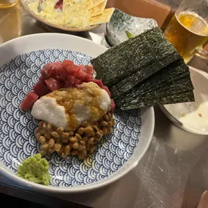타누키 사진