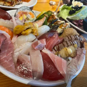 바르미 심비디움2 사진