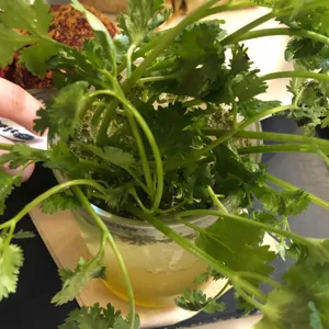 성심당 문화원 리뷰 사진