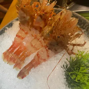 동해안 사진