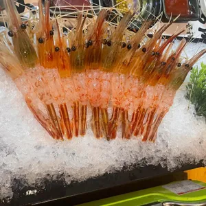 동해안 리뷰 사진