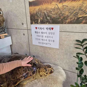 둘레길보리밥 리뷰 사진