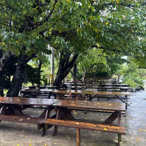 나리촌식당 리뷰 사진