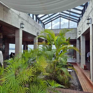 비양놀 리뷰 사진