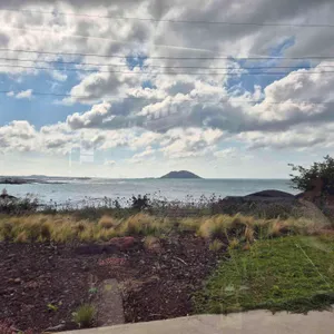 비양놀 리뷰 사진