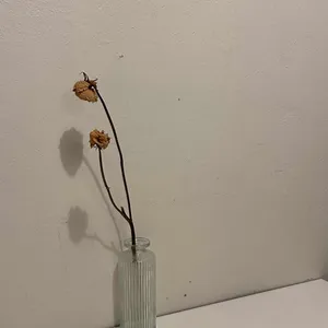 육츠커피하우스 리뷰 사진