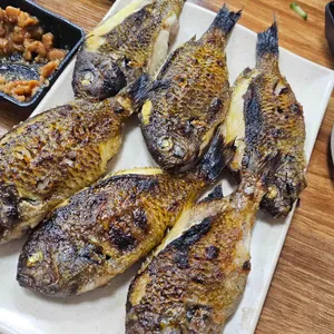 탐라자리돔물회 사진