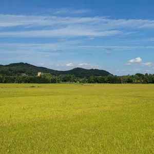 논사이하우스 리뷰 사진