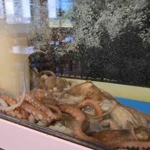 김명자낙지마당 리뷰 사진