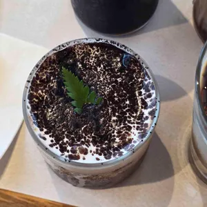 카페 나모나모 사진