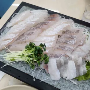 어시장 활어회 사진