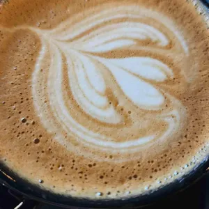 다우너커피 대표 사진