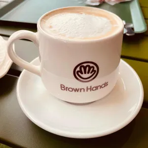 브라운핸즈 사진