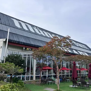 뮌스터담 리뷰 사진