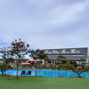 뮌스터담 리뷰 사진