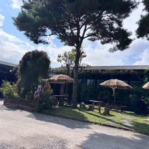 설문커피 리뷰 사진