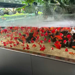 아쿠아가든카페 대표 사진