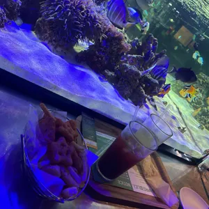 아쿠아가든카페 리뷰 사진