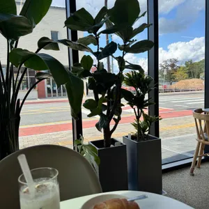 더온전히 리뷰 사진