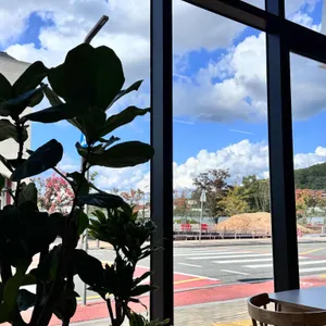 더온전히 리뷰 사진