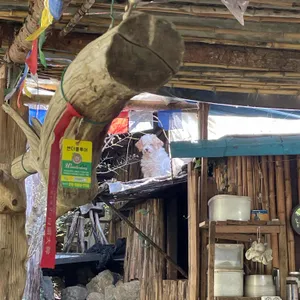 하늘호수차밭쉼터 사진