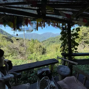 하늘호수차밭쉼터 대표 사진