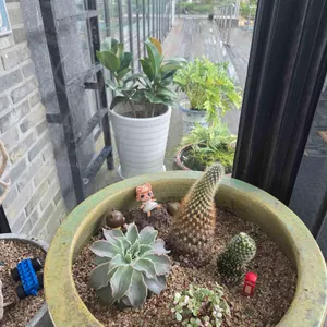 카페 오시오 리뷰 사진