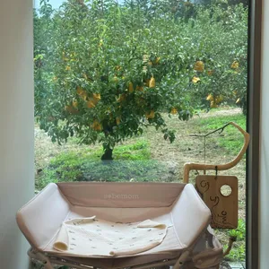 여내울 수월정 사진