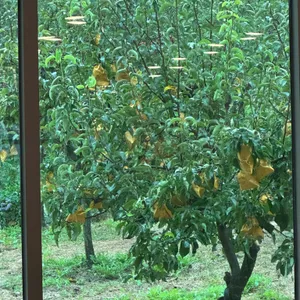 여내울 수월정 리뷰 사진