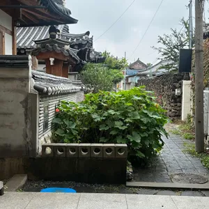 풍미갈비찜 리뷰 사진