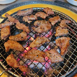 갈매기먹짱 사진