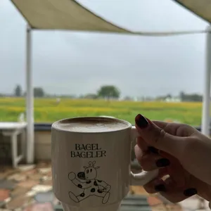 베이글 베이글러 사진