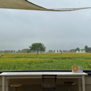 베이글 베이글러 리뷰 사진