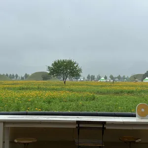 베이글 베이글러 리뷰 사진