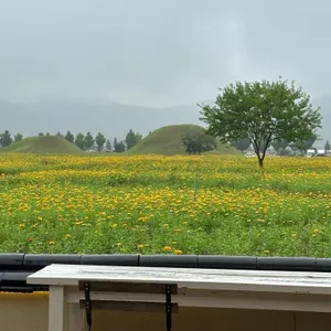 베이글 베이글러 리뷰 사진