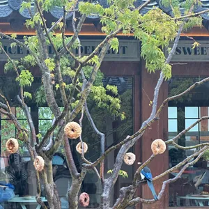 베이글 베이글러 리뷰 사진