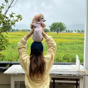 베이글 베이글러 리뷰 사진