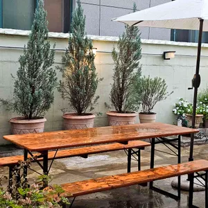 파르테르 리뷰 사진