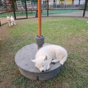 풍사니랑 리뷰 사진